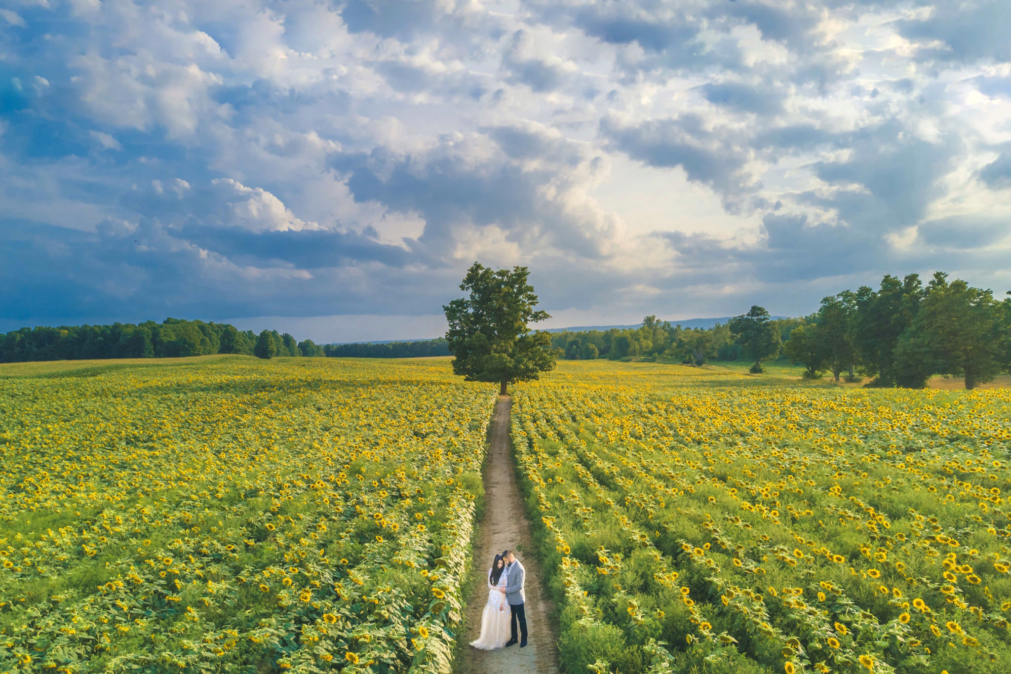 home-creative-indian-wedding-photographers-in-toronto